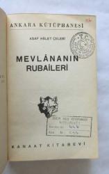 Mevlananın Rubaileri