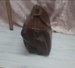 Kahverengi doktor cantasi