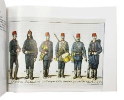Osmanlı askeri teşkilat ve kıyafetleri (1876 - 1908) = Ottoman military orginization and uniforms (1876 - 1908)