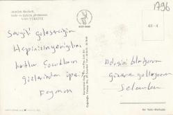 Van Muhtelif Görünüşler