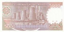 7. Emisyon H90 Serisi Seri Sonu 5000 Türk Lirası