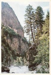 Trabzon Maçka Sümela Manastırı