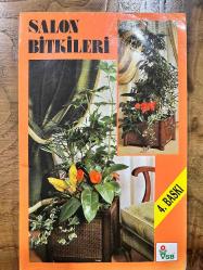 SALON BİTKİLERİ