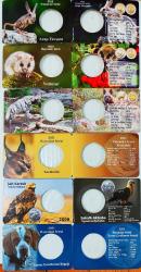 Hayvanlar Serisi Kapamalar ((Folder)) 6 Adet Fiyatıdır.. Çatal Burun+Karakulak+Şah Kartalı+Çizgili Sırtlan+Yedi Uyur+Arap Tavşanı