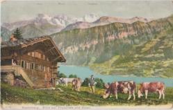 1909 YILI  ALP DAĞLARI İNEKLER KÖY EVİ MANZARA ALMANYA BEATENBERG TABLO ÇİZİM NADİR POSTADAN GEÇMİŞ  KARTPOSTAL