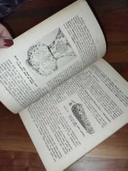 TARİH LİSE 3. SINIF