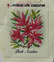 Amerika Birleşik Devletleri Pulu - USA Stamp - Mektup Zarfından Kesilmiş / Postadan Geçmiş Pul Filateli - PINK AZALEA - YABANCI PULLAR, NOSTALJİK DOĞUM GÜNÜ HEDİYESİ