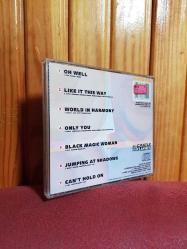 Fleetwood Mac - Boston Live