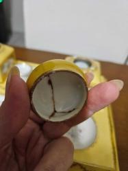 Fransız Limoges Hokka