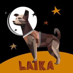 Laika Kitap
