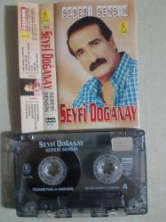 SEYFİ DOĞANAY SEBEBİ SENSİN CAM BASKI