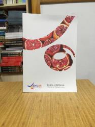 SHURA - Finansman Mekanizmaları