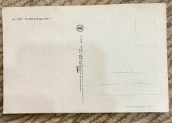 Türkan Şoray  eski kartpostal