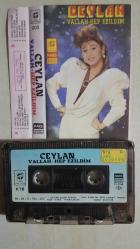 CEYLAN VALLAH HEP EZİLDİM KAĞIT BASKI