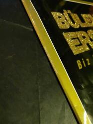 Bülent Ersoy biz ayrılamayız LP plak