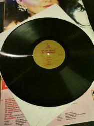 Bülent Ersoy biz ayrılamayız LP plak