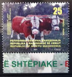 MAKEDONYA (KUZEY)