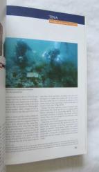 TINA Denizcilik Arkeolojisi Dergisi / Maritime Archaeology Periodical, 2017, Sayı: 7-8