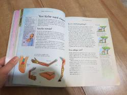 Bilim Bize Ne Anlatıyor? Evren Nasıl Başladı? Elektrik Nedir? Bitkiler Neden Yeşil?