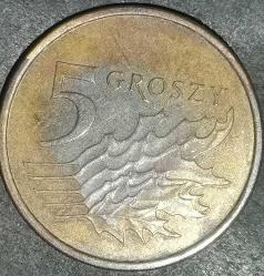 POLONYA  2020     5  GROZSY