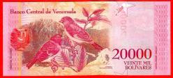 VENEZUELA 20.000 BOLIVARES 13.12.2017 P 99c UNC (MZT 15 166) ÇİL