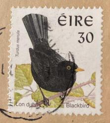 İrlanda Pulu - Ireland Stamp - Mektup Zarfından Kesilmiş  / Postadan Geçmiş Pul Filateli - DAMGALI - SİYAH KUŞ TEMALI İRLANDA PULU, 30 PARA - YABANCI PULLAR -NOSTALJİK DOĞUM GÜNÜ HEDİYESİ