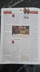 HAFTALIK ANTRAKT SİNEMA GAZETESİ -- 5 -- 11 MART 2004 -- YÜZÜKLERİN EFENDİSİ KRALIN DÖNÜŞÜ -- BAD BOYS 2 - ÇILGIN İKİLİ 2 ; MARTIN LAWRENCE , WILL SMITH -- DUVARA KARŞI ; SİBEL KEKİLLİ , BİROL ÜNEL , GÜVEN KIRAÇ VE MELTEM CUMBUL -- SİNEMA DEFTERİ - NESLİHAN DENGİZ , YAZ MEVSİMİ AŞKI ; GENE KELLY , KATHRYN GRAYSON , MARY ASTOR , JOSE ITURBİ -- UMA THURMAN -- ANGELA ; DONATELLA  FİNOCEHİARO , ANDREA Dİ STEFANO , MARİO PUPELLA , ERASMO LOBELLO -- HESAPLAŞMA ; BEN AFFLEEK , AARON ECKHART , UMA THURMAN , PAUL , GİAMATTİ , COLM FEORE -- MONA LİSA GÜLÜŞÜ ; JULİA ROBERTS , KİRSTEN DUNST , JULİA STİLES , MAGGİE GYLLENHAAL -- AYI KARDEŞ -- İNAT HİKAYELERİ ; TUNCEL KURTİZ , SABRİ TUTAL , KEMAL GÜLTEKİN , ALİ BAŞKAN , ASLI SULAN , REYHAN ULU  -- SON ŞANS ; WILLIAMH MACY , MARİA BELLO , ALEC BALDWIN -- AŞKTA HERŞEY MÜMKÜN ; JACK NICHOLSON , DIANE KEATON , KEANU REEVES ..