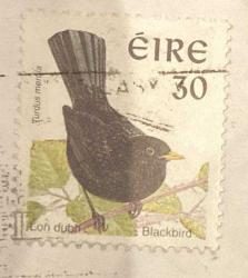 İrlanda Pulu - Ireland Stamp - Mektup Zarfından Kesilmiş  / Postadan Geçmiş Pul Filateli - Damgalı - SİYAH KUŞ TEMALI PUL, 30 PARA - YABANCI PULLAR -NOSTALJİK DOĞUM GÜNÜ HEDİYESİ