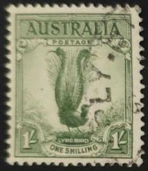+++  AVUSTRALYA KUŞ (LYREBIRD)    1932   OS     - DAMGALI