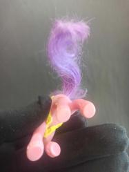 My Little Pony G2 McDonalds 1999 Morning Glory