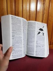 Cambridge International Dictionary of English