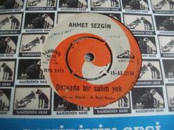 25 - AHMET SEZGİN - DERYADA BİR SALIM YOK - ÇALI KUŞU