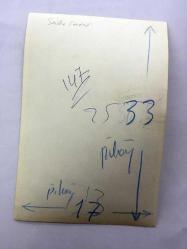 YEŞİLÇAM'IN YILDIZI SEVDA FERDAĞ'IN ORİJİNAL FOTOĞRAFI - 18 x 12 cm EBADINDA - SİYAH & BEYAZ - SEVDA FERDAĞ'IN SIRT DEKOLTESİYLE KÜRKÜN İÇİNDEYKEN ARKASINI DÖNÜP POZ VERDİĞİ ÇOK ÖZEL BİR FOTOĞRAFI - 1970'LERDEN 1 FOTOĞRAF