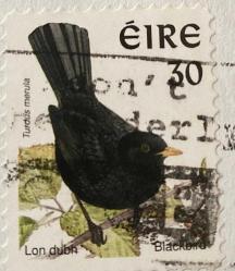 İrlanda Pulu - Ireland Stamp - Mektup Zarfından Kesilmiş  / Postadan Geçmiş Pul Filateli - DAMGALI - SİYAH KUŞ TEMALI PUL, 30 PARA - YABANCI PULLAR -NOSTALJİK DOĞUM GÜNÜ HEDİYESİ
