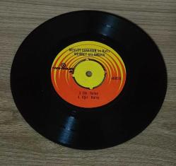 MEVLÜT CANAYDIN-DİK HALAY(ELAZIĞ)