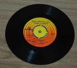 MEVLÜT CANAYDIN-DİK HALAY(ELAZIĞ)