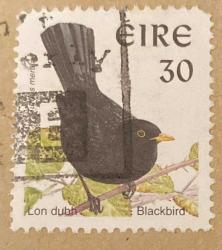 İrlanda Pulu - Ireland Stamp - Mektup Zarfından Kesilmiş  / Postadan Geçmiş Pul Filateli - DAMGALI - SİYAH KUŞ TEMALI PUL, 30 PARA - YABANCI PULLAR -NOSTALJİK DOĞUM GÜNÜ HEDİYESİ