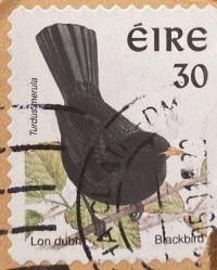 İrlanda Pulu - Ireland Stamp - Mektup Zarfından Kesilmiş  / Postadan Geçmiş Pul Filateli - Damgalı - SİYAH KUŞ TEMALI PUL, 30 PARA - YABANCI PULLAR -NOSTALJİK DOĞUM GÜNÜ HEDİYESİ