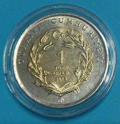 ## Anadolu Yaban Koyunu ##