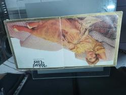 YÜKSEL ÜZEL BİR GÜLÜ BİR SENİ ÖPTÜM  BOŞ KAPAK  SADECE KAPAK PLAK YOKTUR