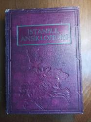 İSTANBUL ANSİKLOPEDİSİ - CİLT : 2