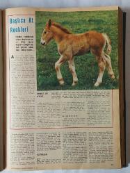 Hayat Hayvanlar Ansiklopedisi, Fasikül: 1 - 14 [TAKIM]
