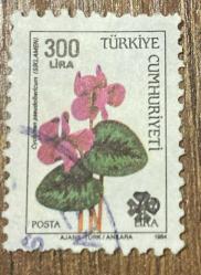 Türk Pulu - Turkish Stamp -  Postadan Geçmiş Pul Filateli - Damgalı - SİKLAMEN ÇİÇEĞİ TEMALI PUL, 300 LİRA - Türkiye Cumhuriyeti - NOSTALJİK DOĞUM GÜNÜ HEDİYESİ