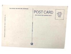 Lıbrary unıersıty of ıllınoıs - 1960'lı yıllara ait kartpostal / Arkası yazısız