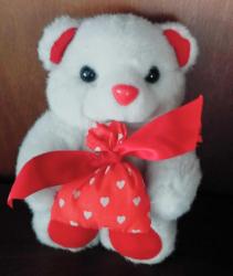 Sevimli Peluş Ayıcık