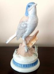 Avrupa Porselen Biblo