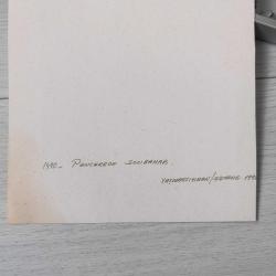 Fotoğraf Sanatçısı BURHAN AZAKLAR İmzalı Koleksiyonluk Fotoğraf