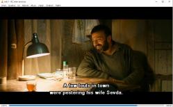 kış uykusu dvd (pc'de denenmiştir) (nuri bilge ceylan melisa sözen haluk bilginer demet akbağ nejat işler nadir sarıbacak tamer levent)