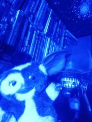 Gizmo 2003 neca 1.seri,