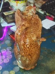 18504-ANTİKA GELİBOLU TOPRAK TESTİ